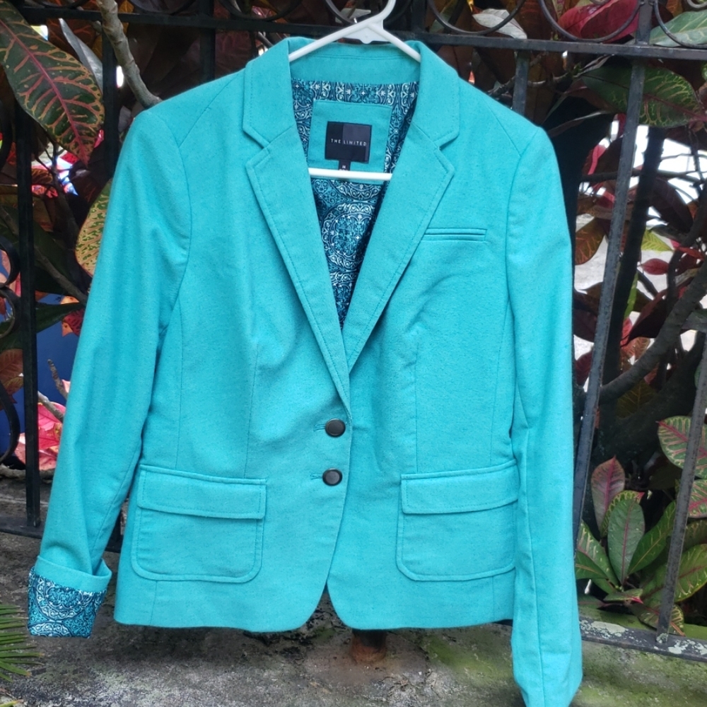 The Limited Blazer Robin Egg Blue